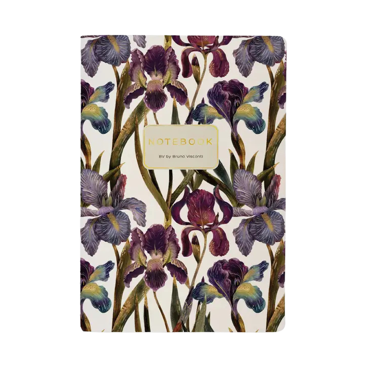Bruno Visconti Notebooks